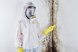 Best Mold Odor Removal Services  in Colton, CA